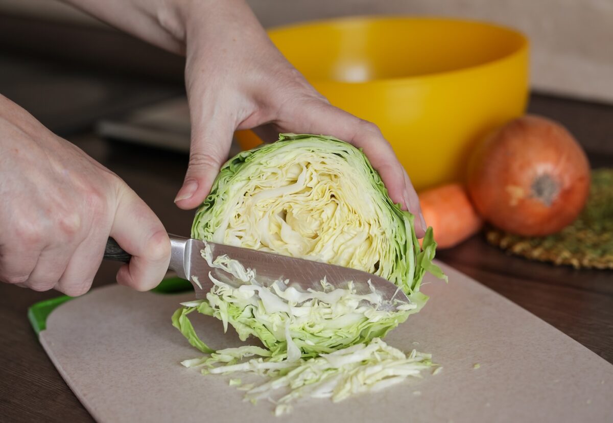 Repollo. Qué es, cómo cocinarlo y sacarle partido en la cocina de casa