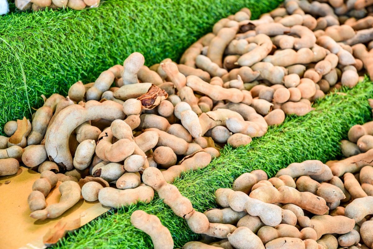Tamarindo. Qué es, propiedades y cómo usarlo en la cocina para dar un toque exótico