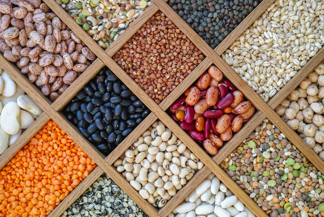 Alubias rojas, judías pintas, frijoles... ¿Cuáles son sus diferencias nutricionales?