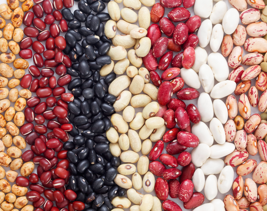Alubias rojas, judías pintas, frijoles... ¿Cuáles son sus diferencias nutricionales?