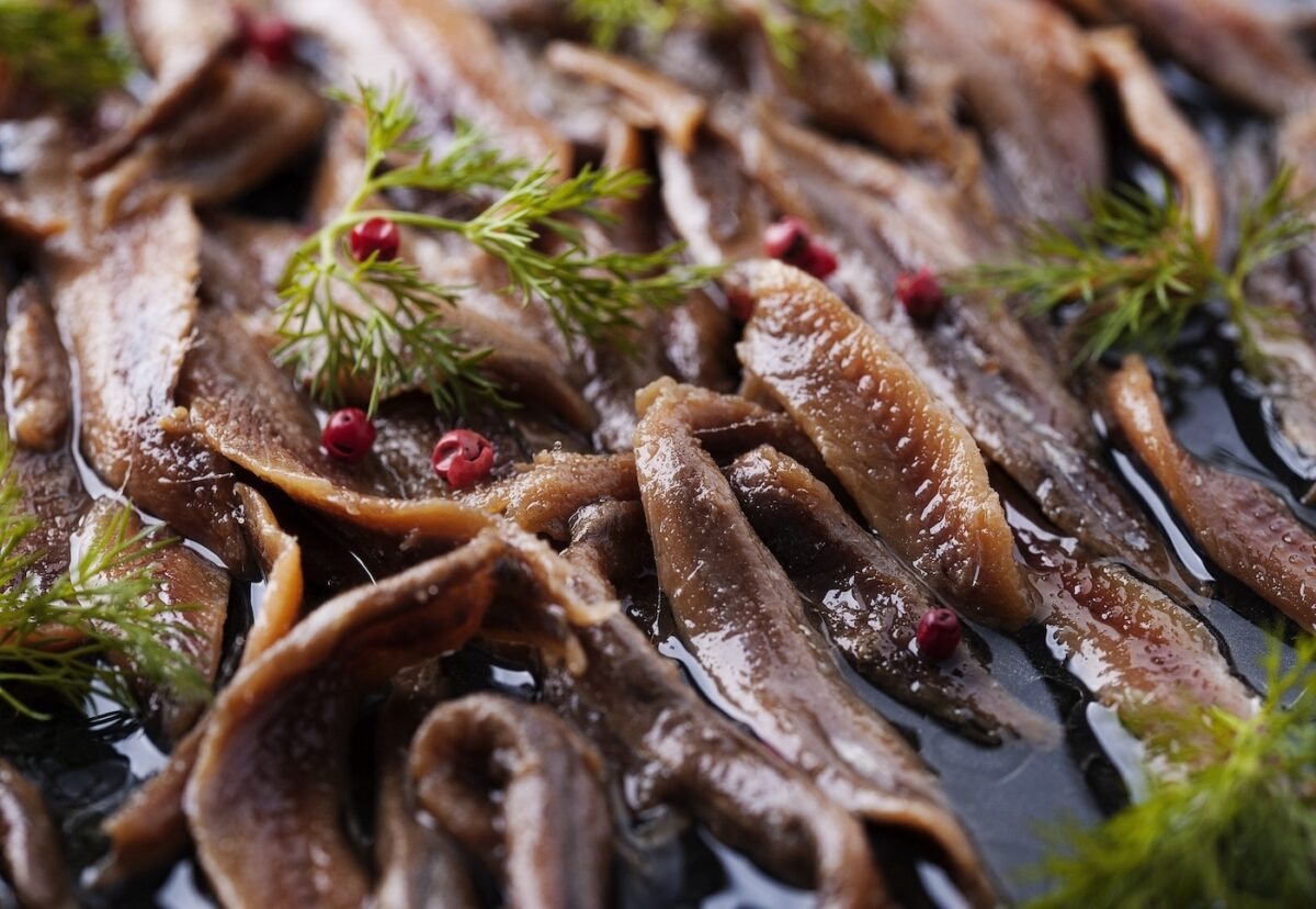 Anchoa, boquerón o bocarte. ¿Qué los diferencia y cómo aprovecharlos en recetas?