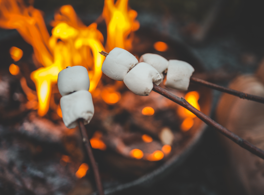 Malvaviscos o marshmallows: origen, qué son y cómo utilizarlos en la cocina