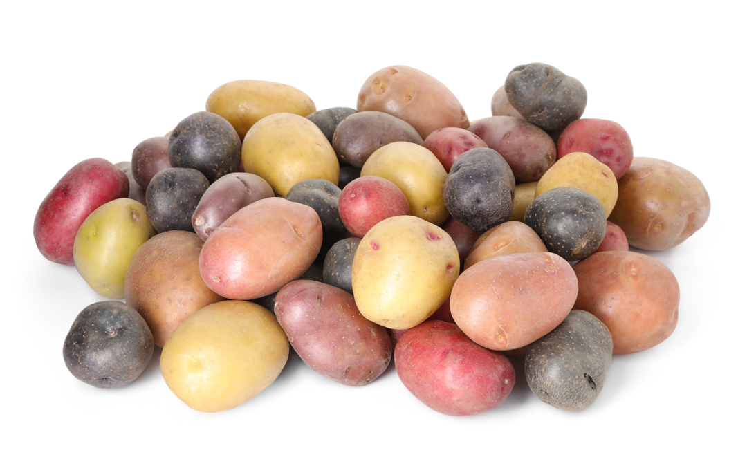 Cómo hacer patatas cocidas: tiempos de cocción, técnica y trucos para que queden perfectas