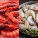 Tipos de gambas rojas y blancas. Diferencias y mejores gambas de España