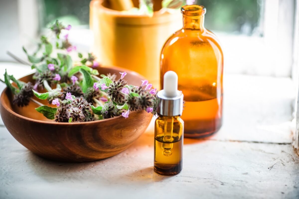 Satureja. Qué es, cómo usarla en la cocina y propiedades de esta hierba aromática