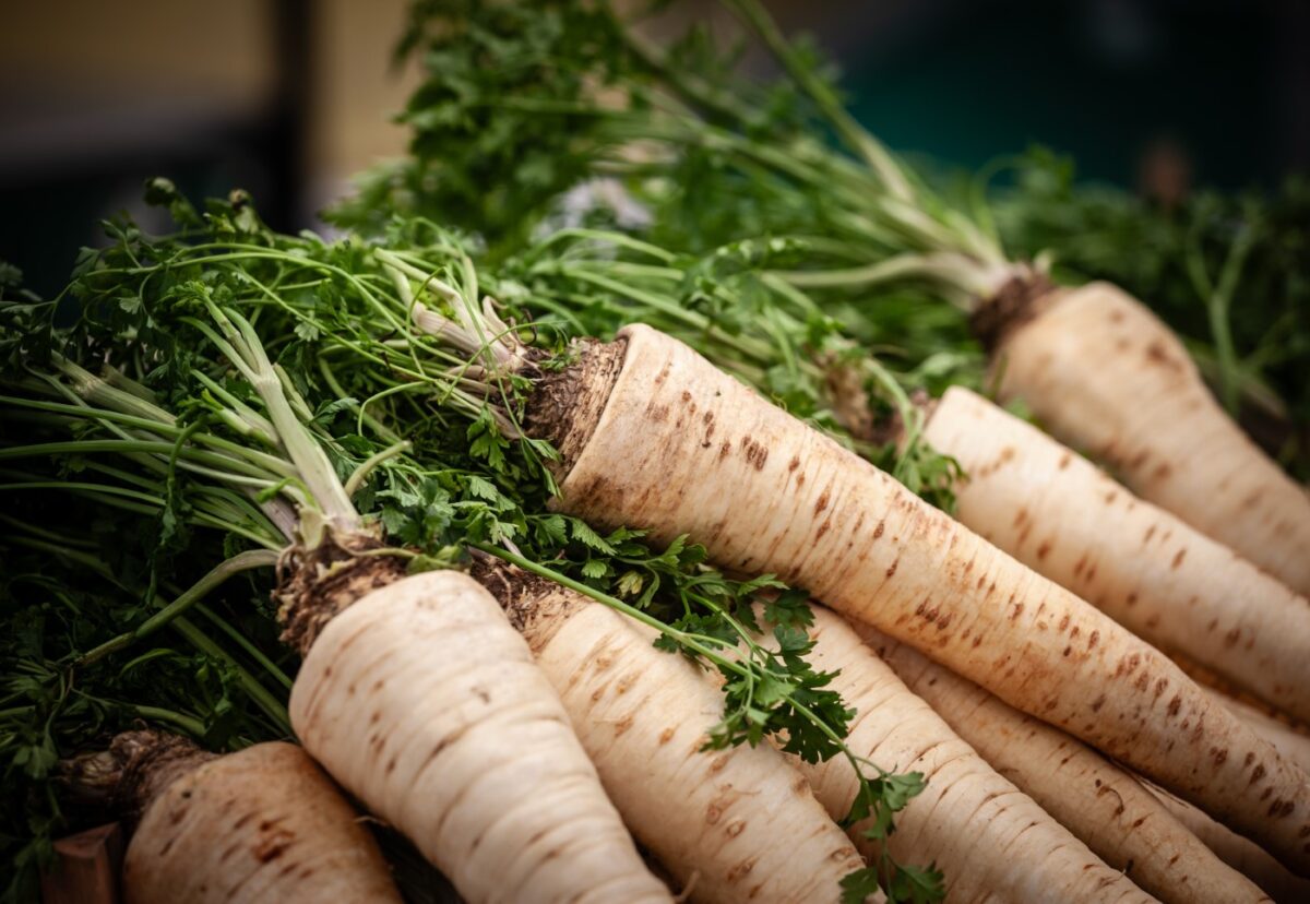 Chirivías. Qué son, beneficios y cómo aprovechar su potencial en la cocina