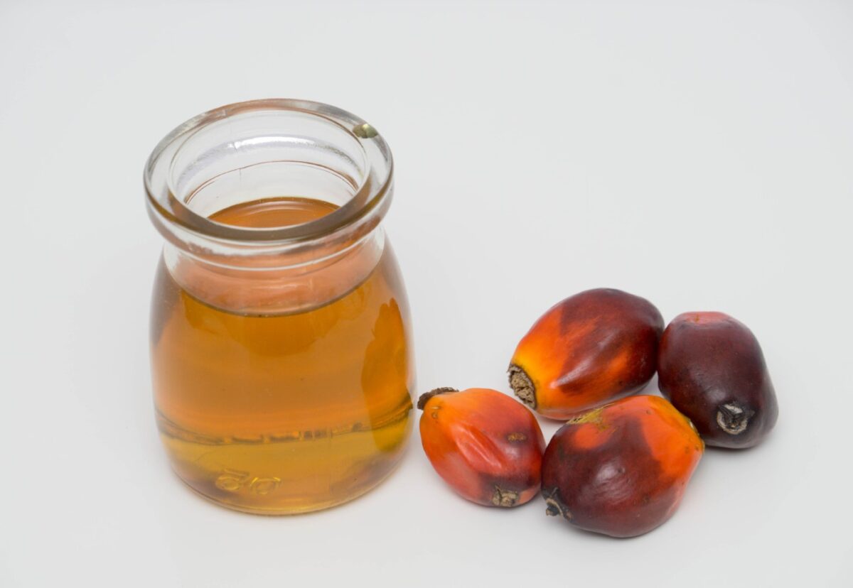 Aceite de palma. Qué es, por qué se usa y qué efectos tiene en la salud