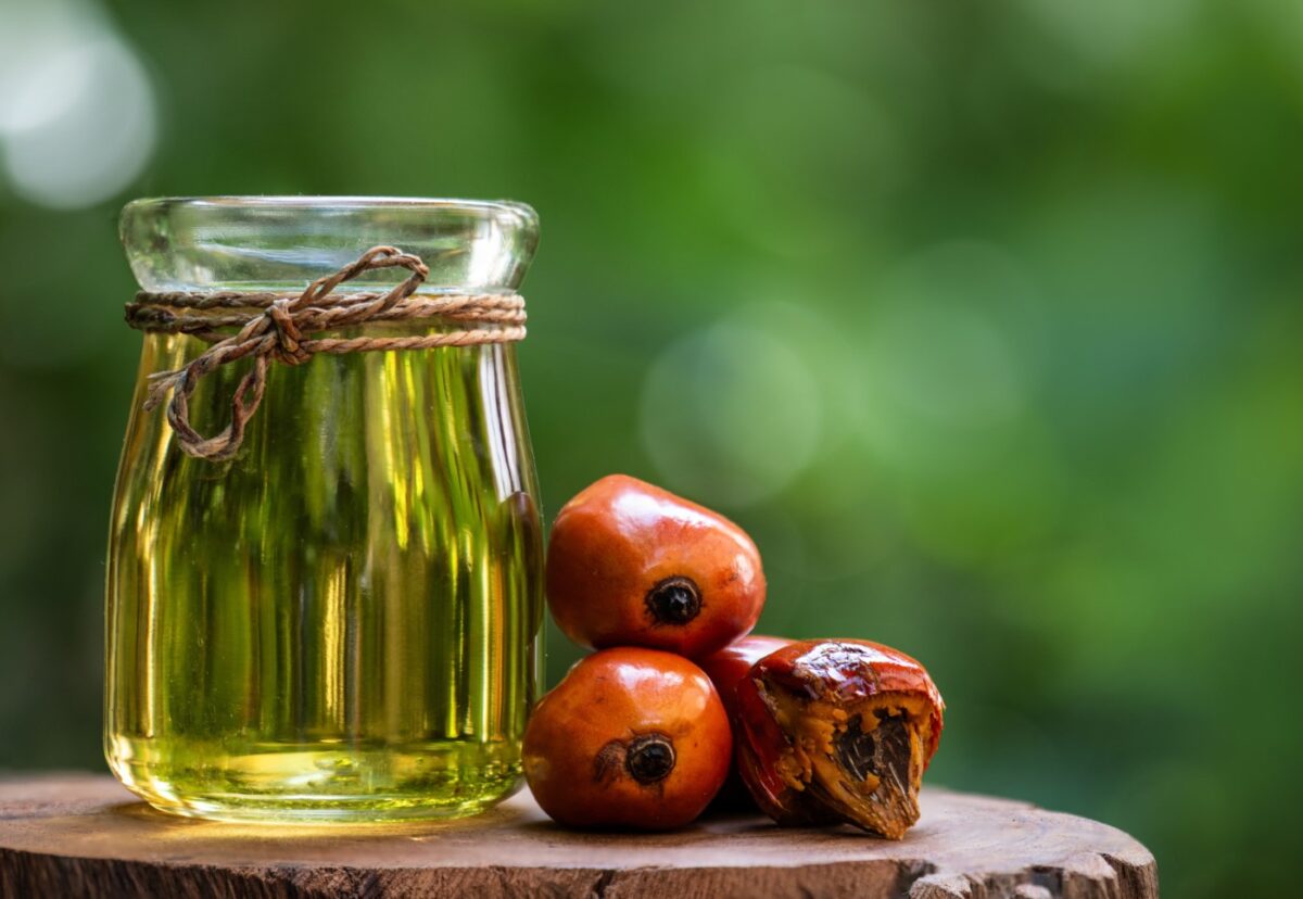 Aceite de palma. Qué es, por qué se usa y qué efectos tiene en la salud