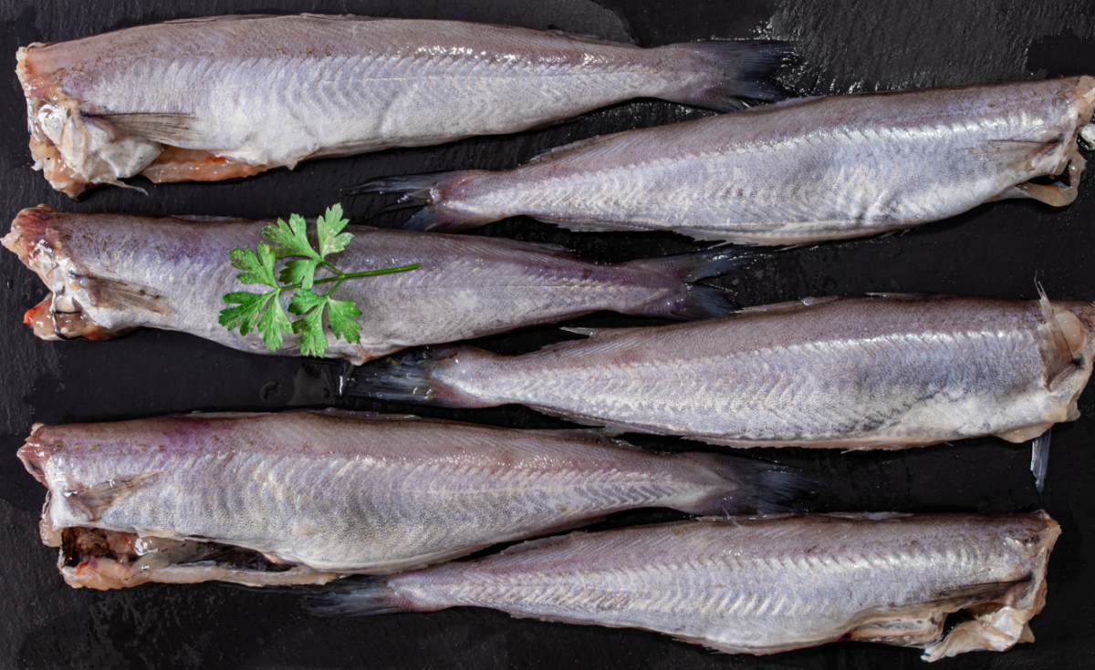 Bacaladilla. El pescado humilde que vuelve a conquistar nuestras cocinas