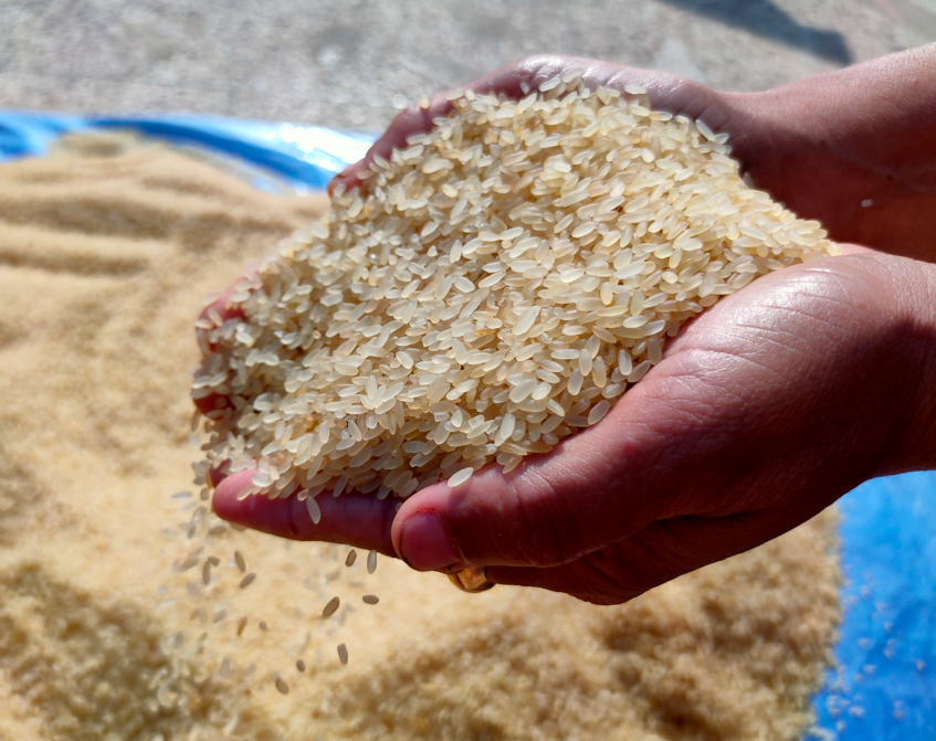 Qué es el arroz vaporizado, cómo se hace y cómo usarlo en la cocina