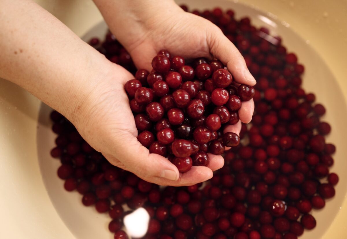 Cómo aprovechar una caja de cerezas (y evitar que se estropeen): ideas fáciles y trucos que funcionan