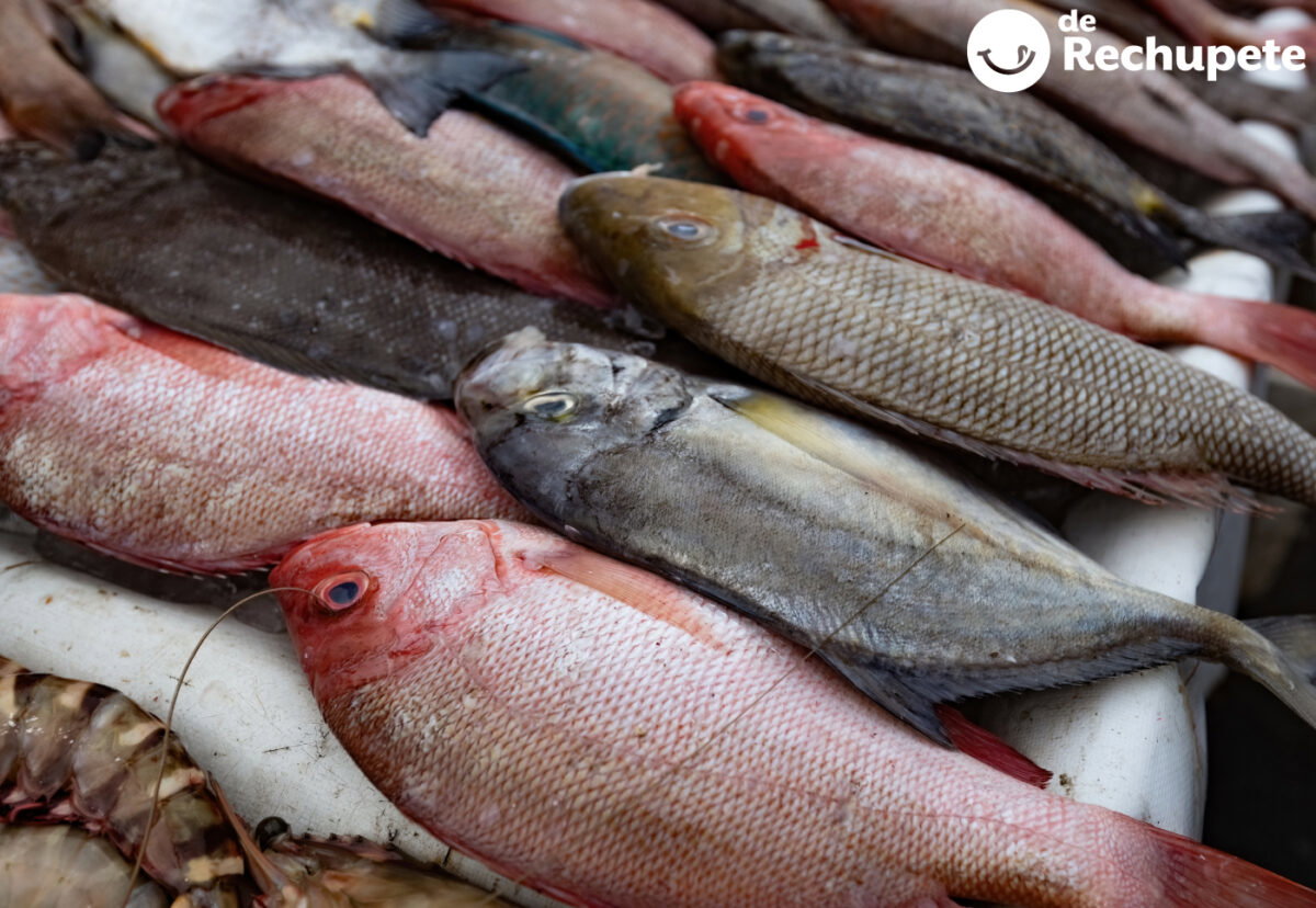 Pescados de temporada en primavera: cuáles comprar y las mejores recetas para aprovecharlos