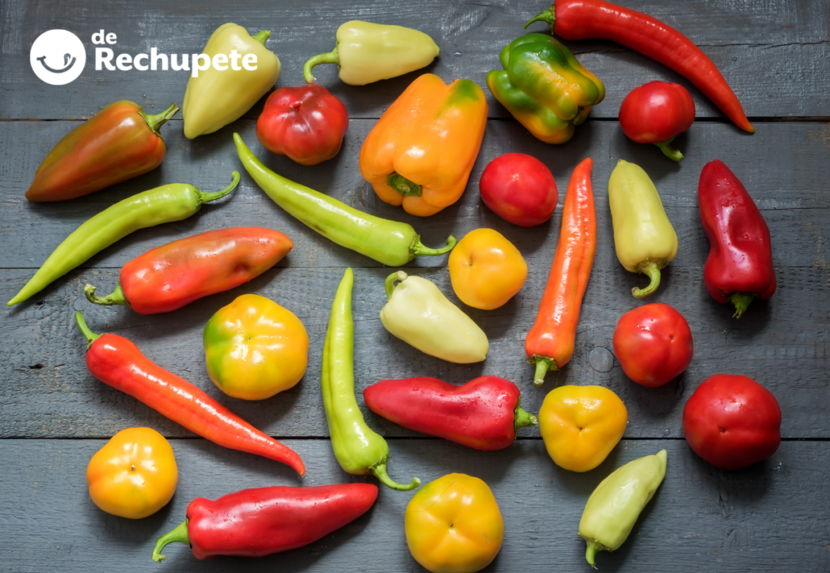 Tipos de chile: cuáles son y cómo usar cada uno sin cocinar a ciegas