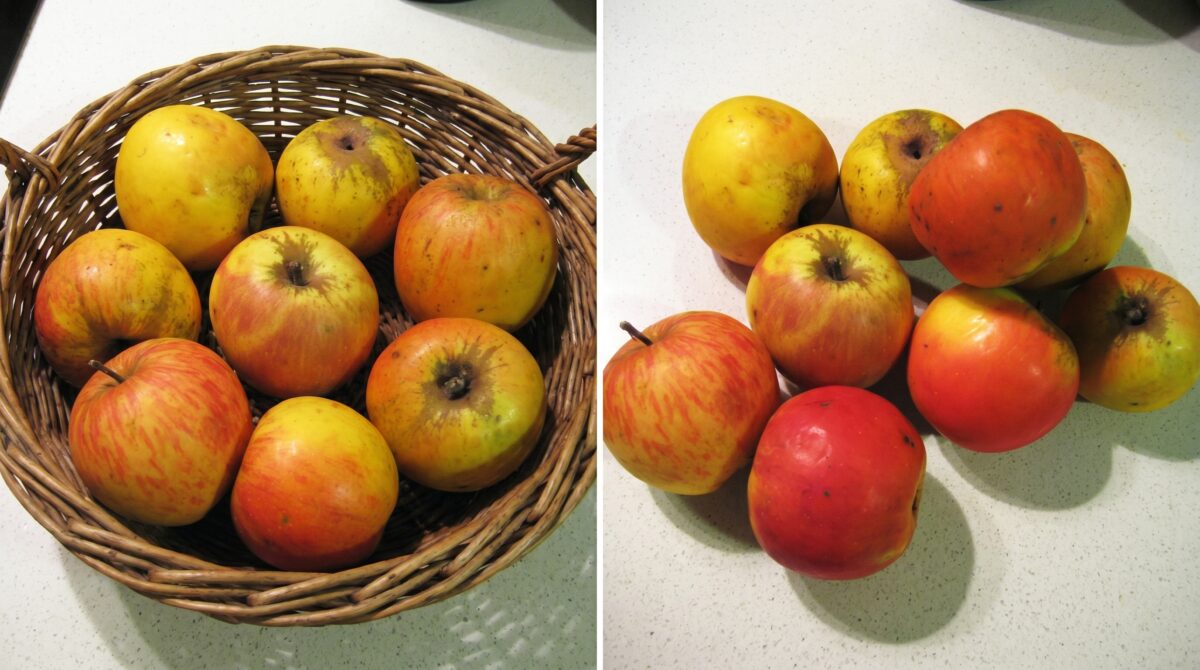 Delicias de manzana. Receta de manzanas con crema Franchipán