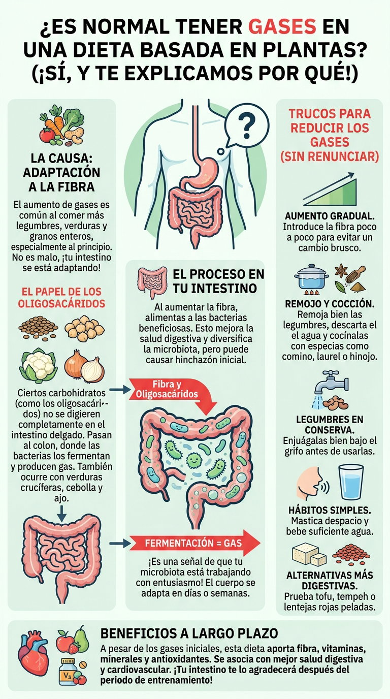 ¿Es normal tener gases con una alimentación vegetal? Lo que ocurre cuando comes más legumbres, verduras y fibra