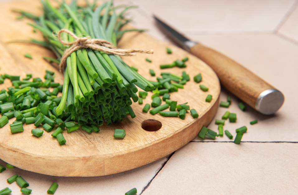 Hierbas aromáticas que conviene tener en la cocina: las más usadas y cómo sacarles partido