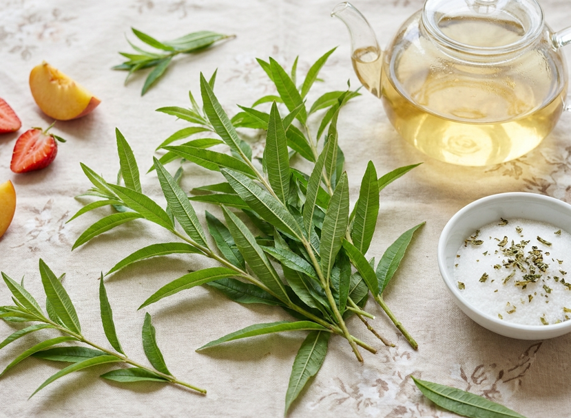 Hierba luisa o hierbaluisa: qué es, cómo usarla en cocina y en qué se diferencia del lemon grass