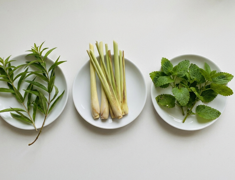 Hierba luisa o hierbaluisa: qué es, cómo usarla en cocina y en qué se diferencia del lemon grass