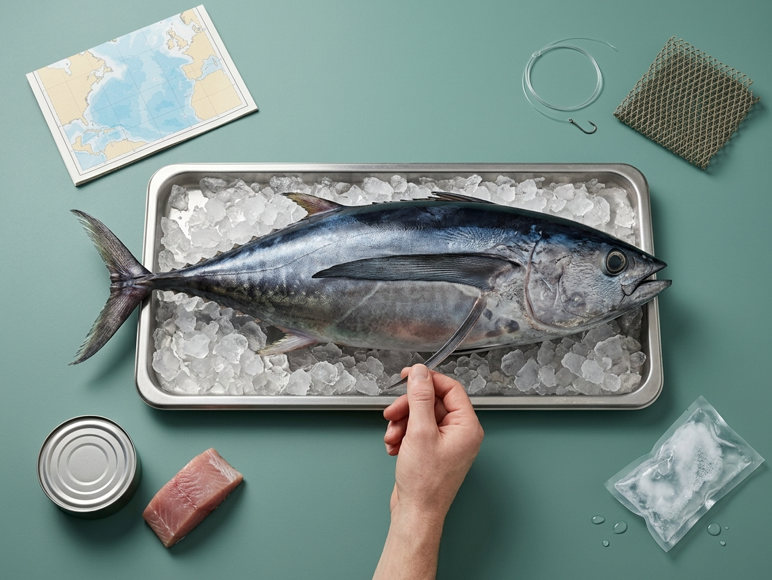 Atún y bonito: en qué se diferencian, cuál elegir y cuánto conviene comer