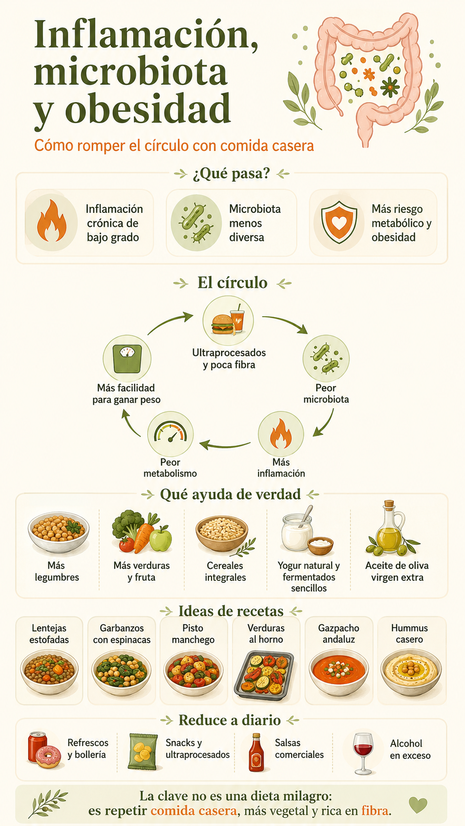 Inflamación, microbiota y obesidad: cómo romper el círculo con comida casera