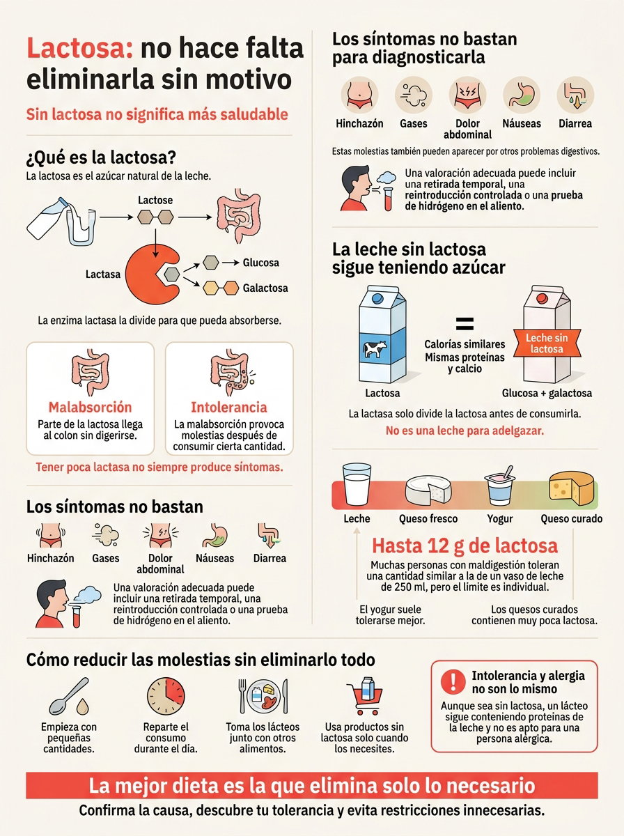 Lactosa: por qué no conviene eliminarla de la dieta sin motivo