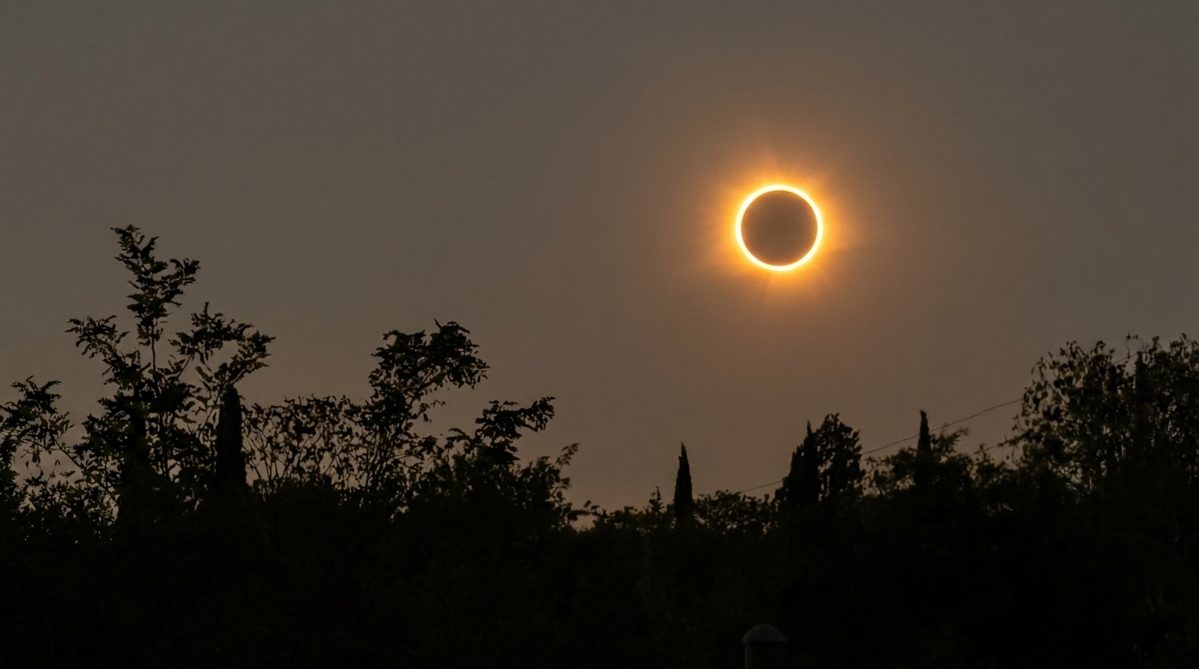 Qué comida llevar para pasar el día fuera, del eclipse a los festivales