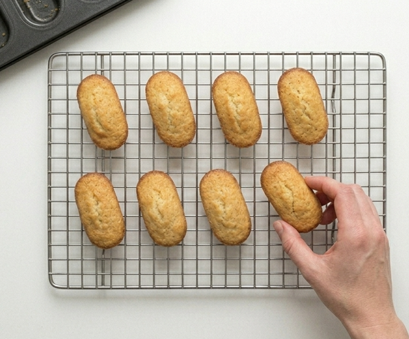 Bollitos Círculo Rojo caseros, rellenos de cacao y avellanas