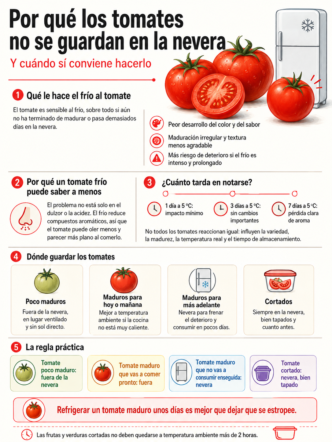 Por qué los tomates no se guardan en la nevera y cuándo sí conviene hacerlo