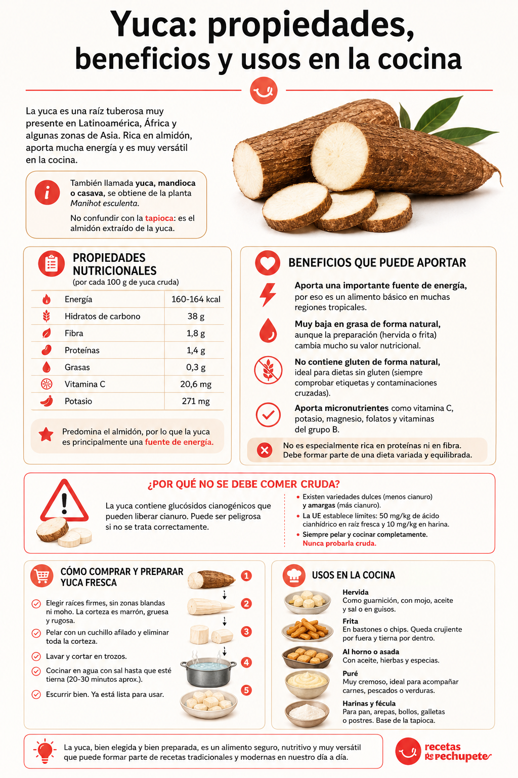 Yuca: propiedades, beneficios y usos en la cocina