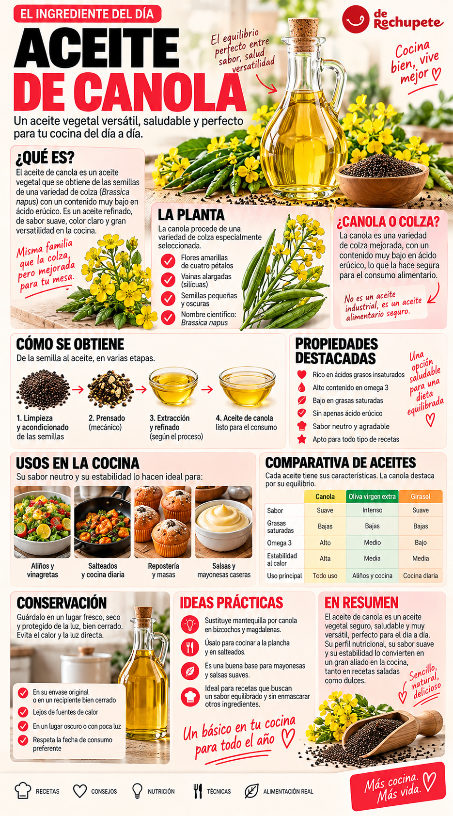 Aceite de canola: qué es, por qué también se llama aceite de colza y para qué sirve