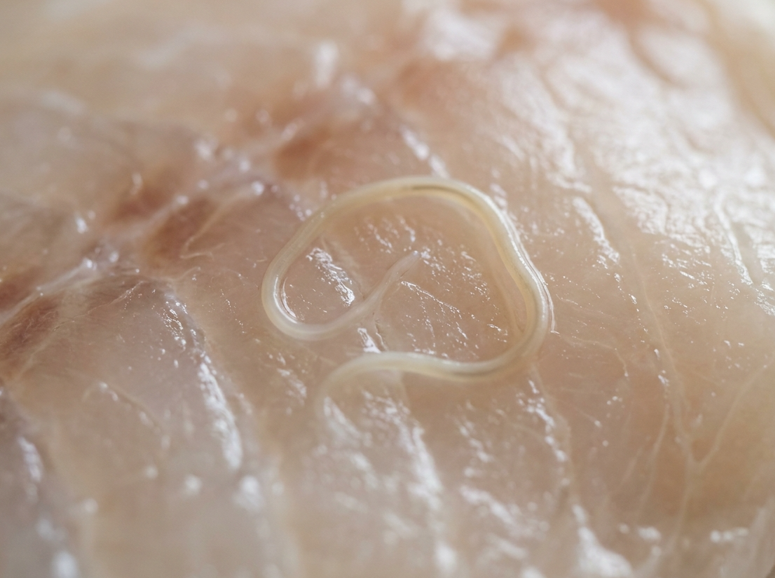 Cómo congelar y descongelar pescado correctamente: seguridad, textura y tiempos